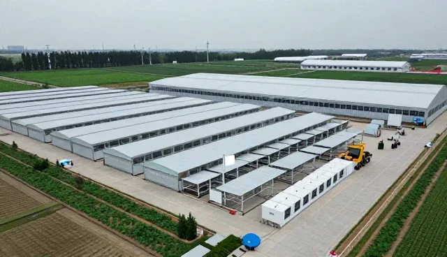 家庭日常使用中使用技术开发与咨询的优势分析